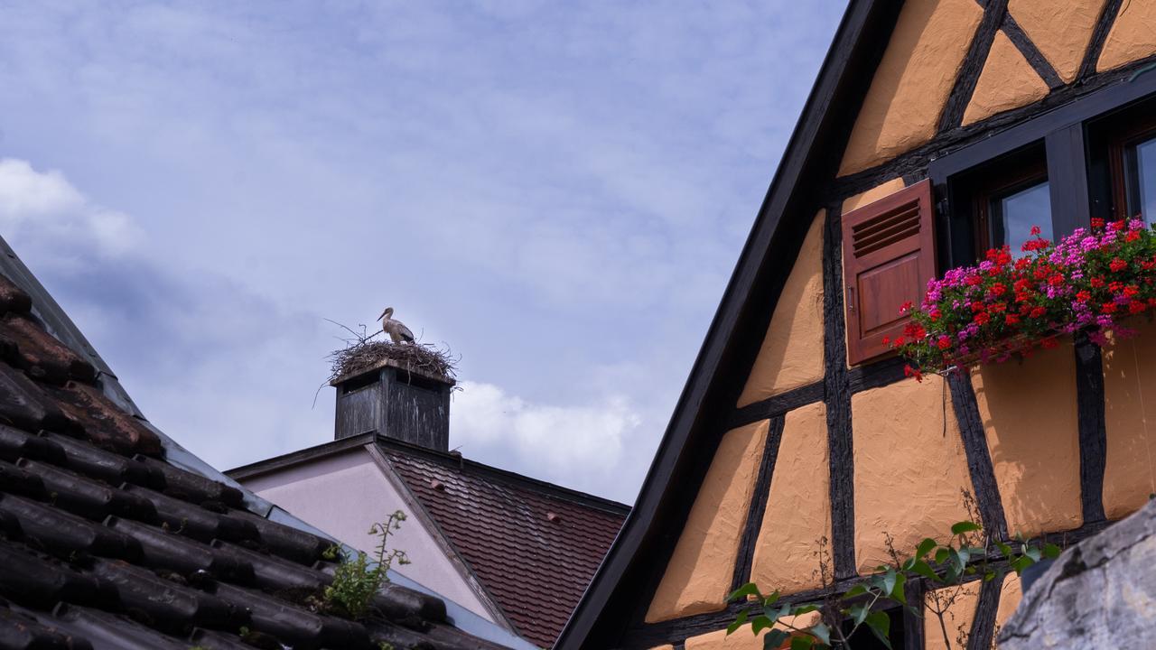 La Legende Des 2 Pierres Apartment Eguisheim Exterior photo